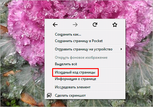 Как сохранить фото из Инстаграма: 6 способов скачивания изображений на компьютер и в телефон